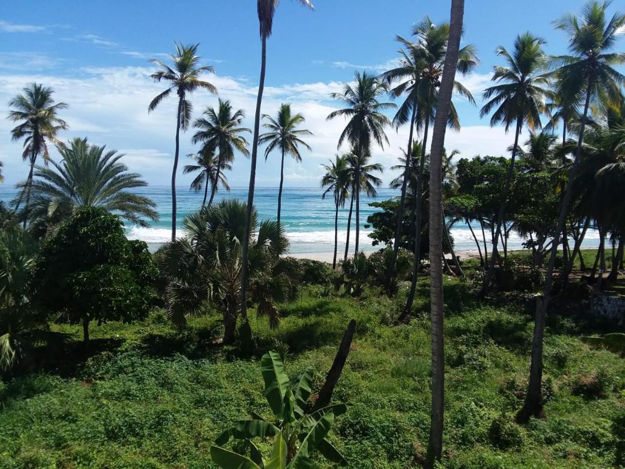 Oasi Encantada - Beach Resort Barahona Exterior photo